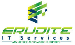 Erudite IT Services logo